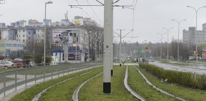 Te tory słychać przez cały dzień!