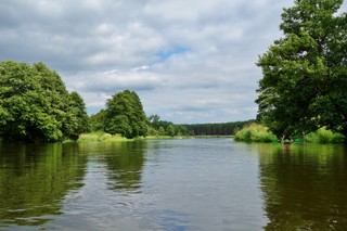 Dzika rzeka jest polisą ubezpieczeniową przed skutkami zmian klimatycznych [WYWIAD]