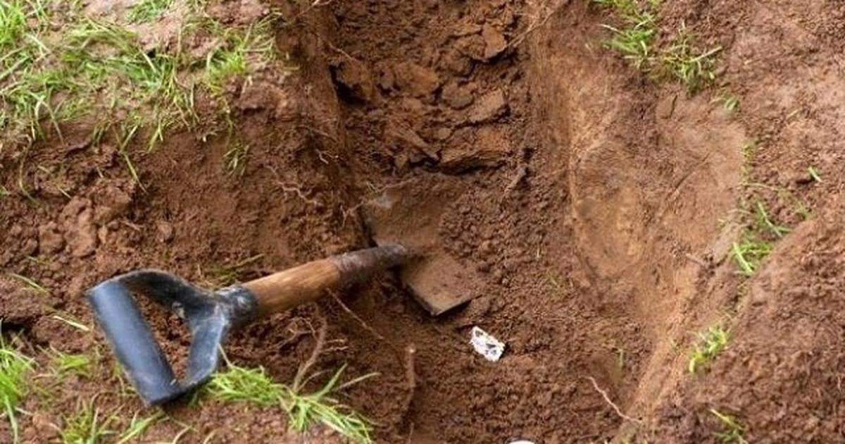 Капала яму. Закапывание человека в землю. Человек закапывается в землю. Лес и лопата в земле.