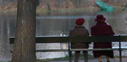 Niewygodna prawda o PPK? Profesor SGH brutalnie rozprawia się z rządowym programem