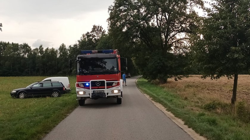 Niewyobrażalna tragedia w powiecie łaskim! Motocyklista zmarł po zderzeniu z koniem