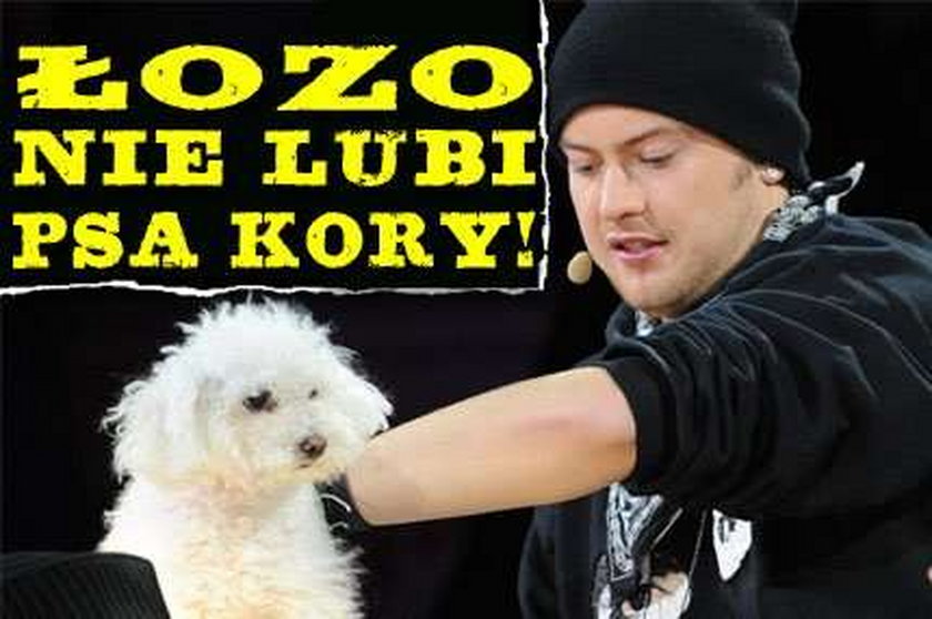 Łozo nie lubi psa Kory?!