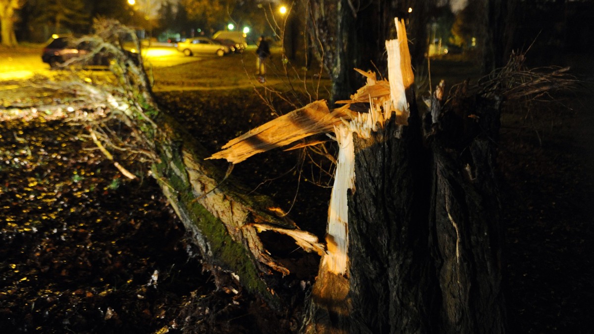 Silny wiatr uszkodził trakcje energetyczne w okolicach Płocka i Sierpca (Mazowieckie), powalił kilkadziesiąt drzew, zerwał dachy domów. Jedna osoba została ranna w wypadku samochodowym – poinformowała straż pożarna.