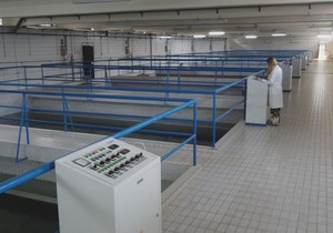 Fabrika vode Rzav