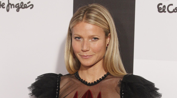 Gwyneth Paltrow / Fotó: Northfoto