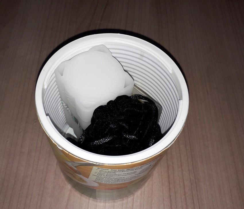 Srebrne kovanice u konzervi sa nudlama