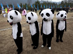 Wejdź za druty kolczaste. Tak się żyje w Korei Północnej