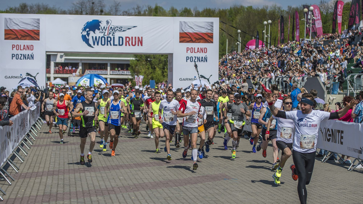 Poznań po raz trzeci będzie gospodarzem "Wings for Life World Run" - nietypowego biegu, w którym uczestnicy uciekają przed ruchomą metą, a rozgrywany jest on równolegle w ponad 30 lokalizacjach na całym świecie. Start wyznaczono na 8 maja godz.13.00.