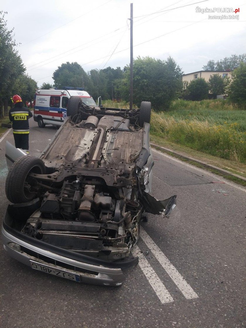 Szerszeń spowodował wypadek