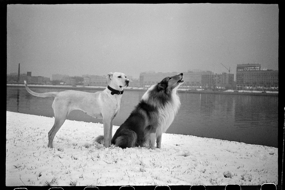 Masza Iwaszincowa, "Neva River Leningrad, USSR" (1977)