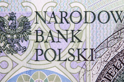 "DGP": NBP mógłby ręcznie sterować rynkiem kredytów