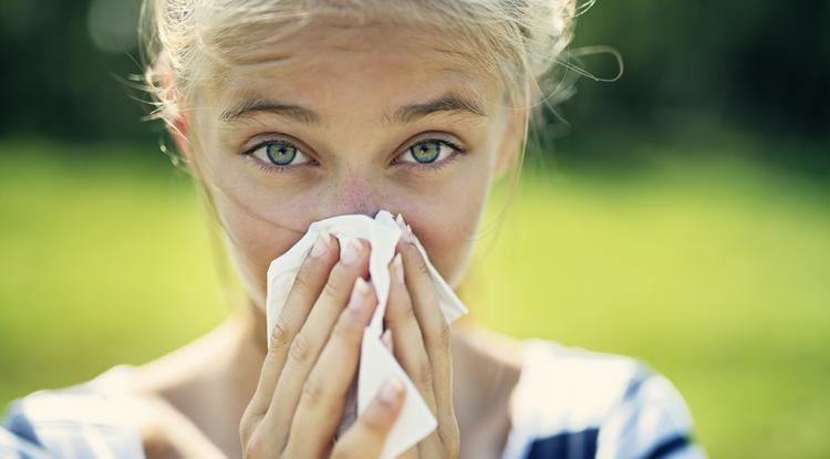 A szakértő elmondta, mi a legjobb allergia ellen Fotó: Getty Images