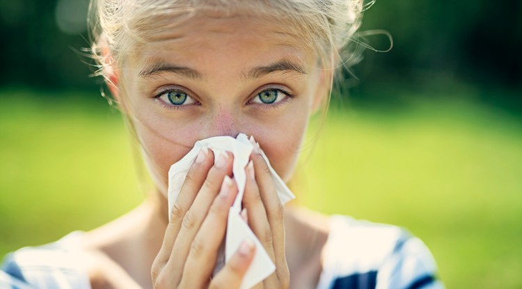 A szakértő elmondta, mi a legjobb allergia ellen Fotó: Getty Images