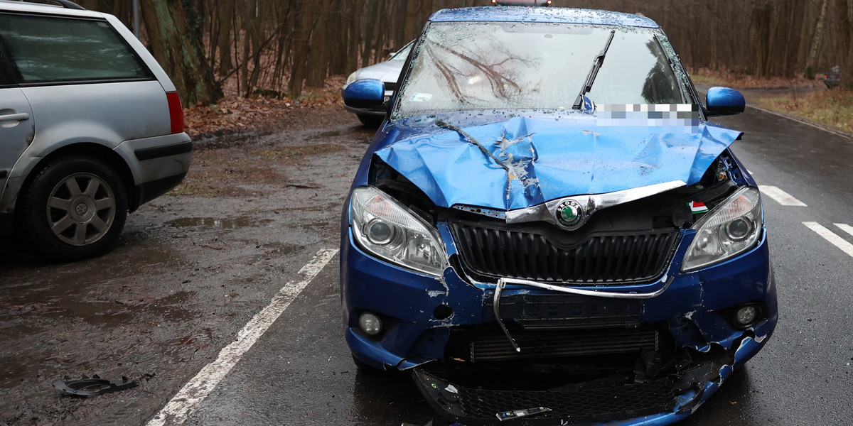 Drzewo runęło na drogę. W hamującą toyotę uderzyła skoda. 