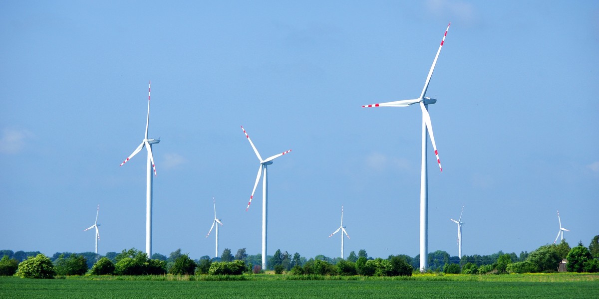 Żadna z umów podpisanych w tym roku przez NFOŚiGW nie dotyczyła wytwarzania energii z odnawialnych źródeł