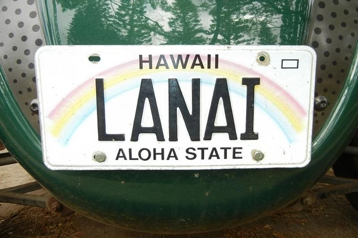 Larry Ellison: Lanai, Hawaje