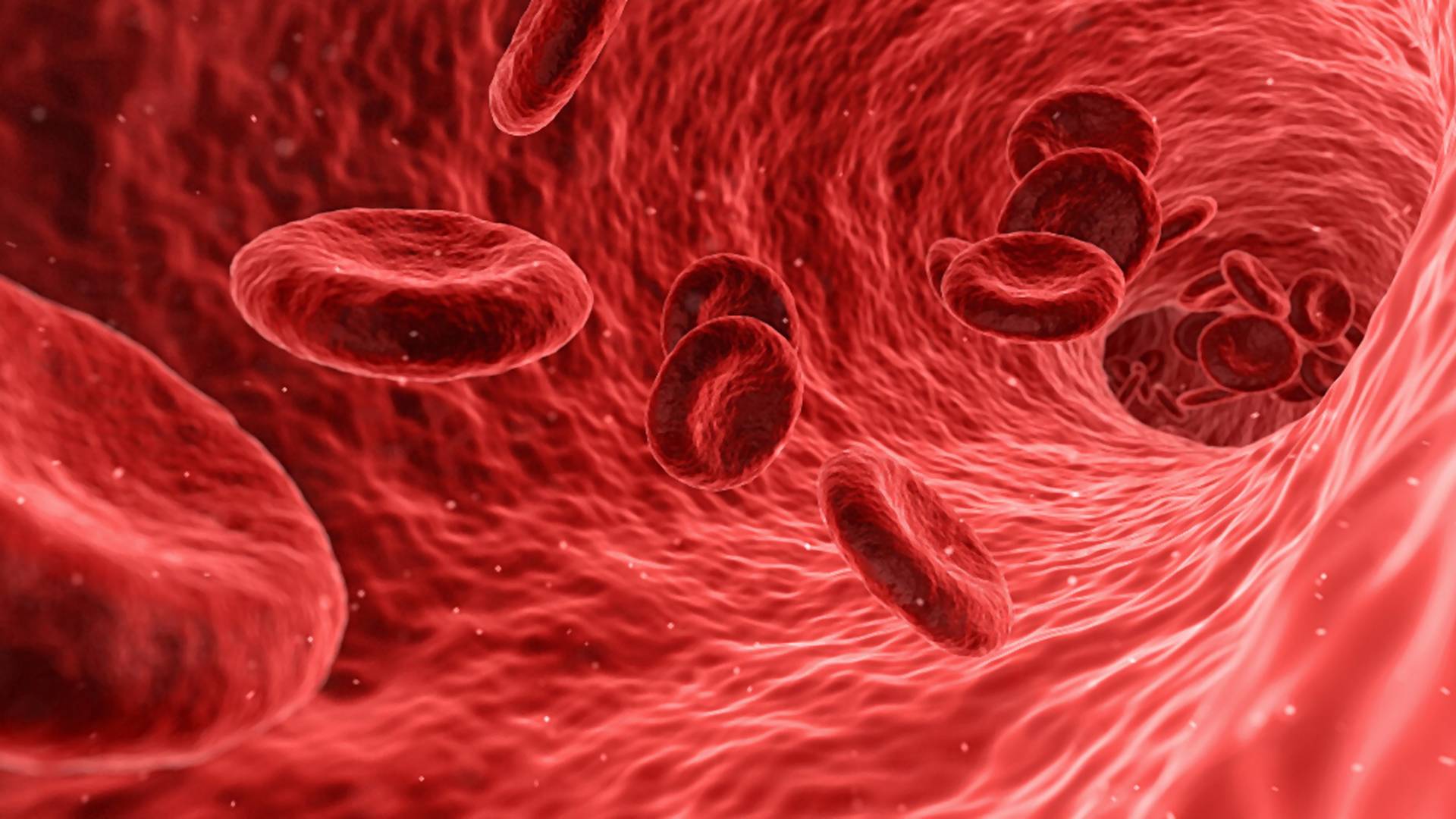 17 zaujímavých faktov o krvi: Ako ovplyvňuje krvná skupina športový výkon či rozvod s partnerom?