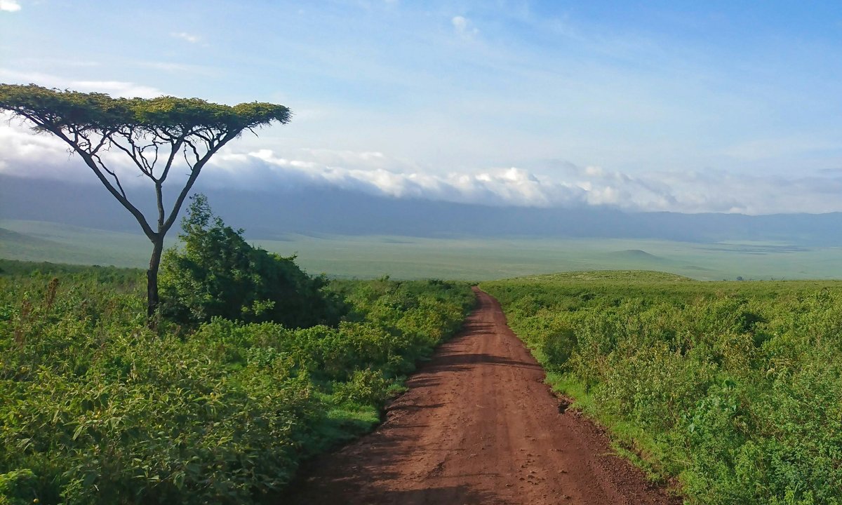 Tanzania wprowadza nowy i wysoki podatek. Linie lotnicze oburzone