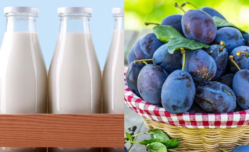 Śliwki popijane mlekiem