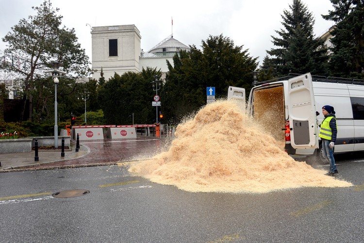 Greenpeace przed Sejmem