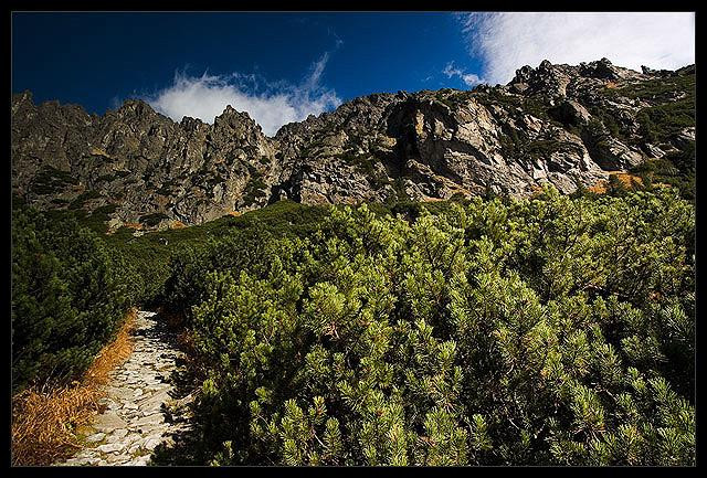 Galeria Słowacja - Tatry, obrazek 7