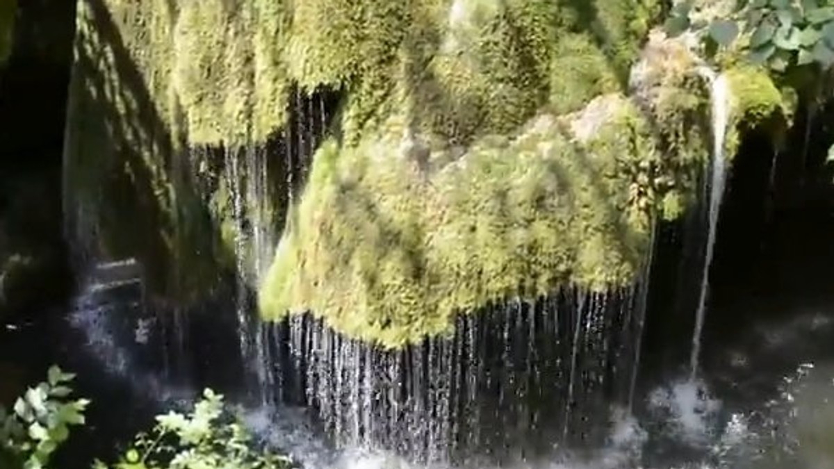 450782_bigar-foto-youtube