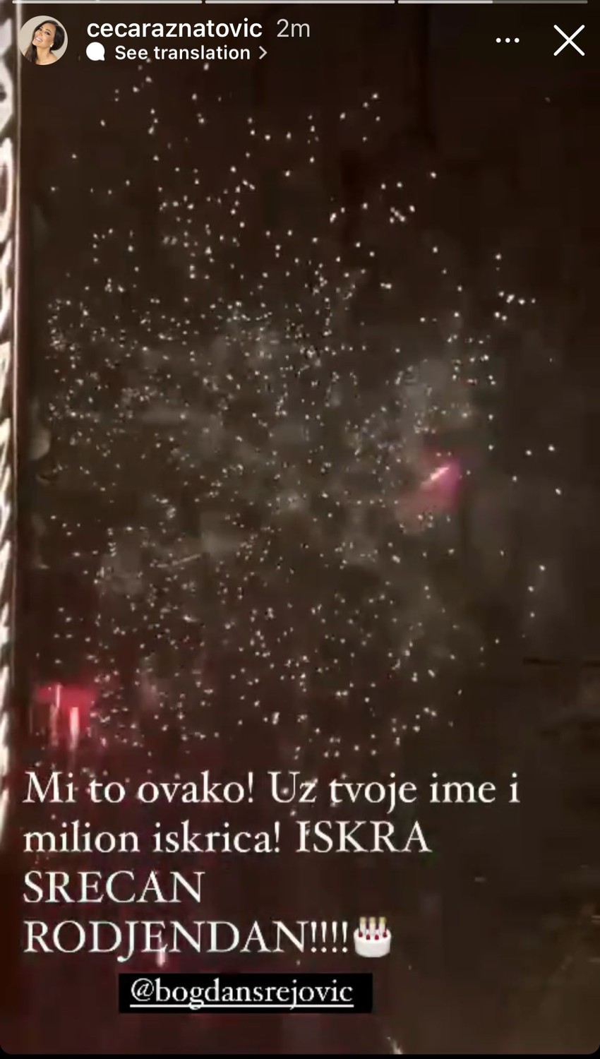 Ceca, Bogdan i Iskra