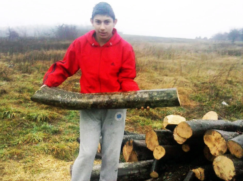 Predrag priprema ogrev za zimu