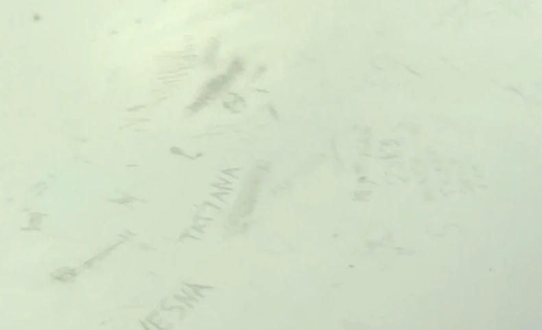 Bela kuća nakon finala