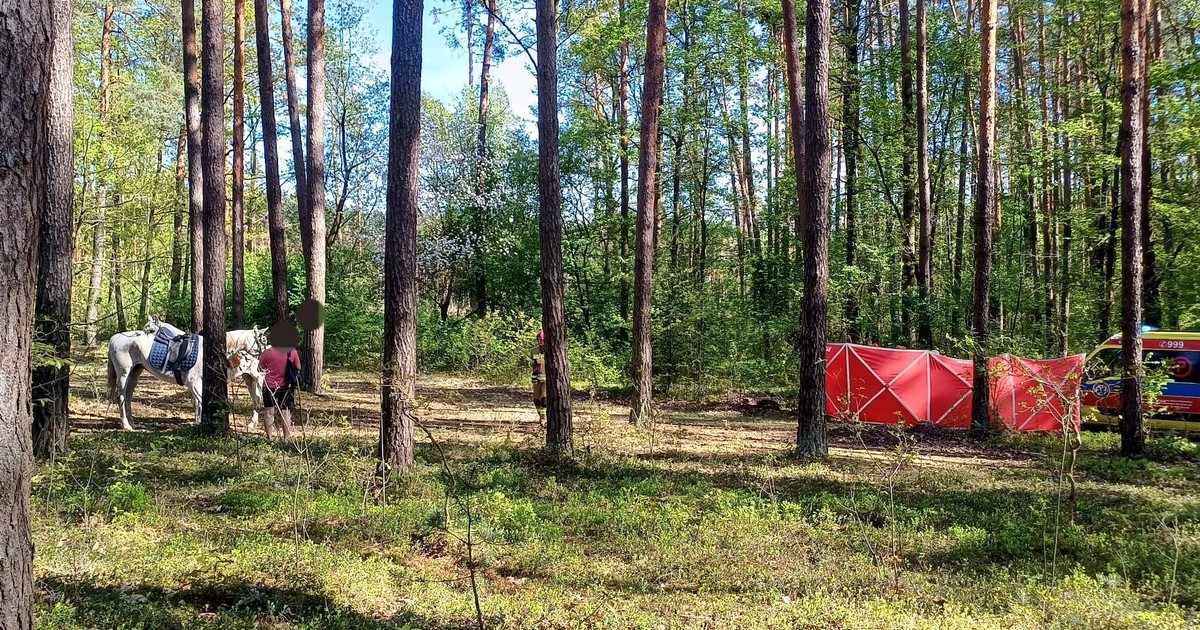 Straszna śmierć 14-latki. "Usłyszała za sobą jej krzyk, a potem odgłos upadku". Śledczy ujawniają