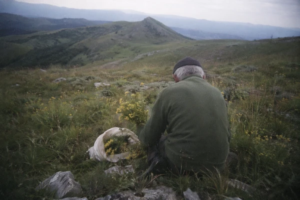 "Silni ljudi će IZGINUTI, a kod nas će biti LOŠE I TO MNOGO LOŠE": Meštani drhte od PROROČANSTVA DEDA GVOZDENA SA RTNJA, mnoga su se već OSTVARILA, a budućnost je tek JEZIVA