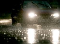 Kierowco! Uważaj na liście, bo się rozbijesz!