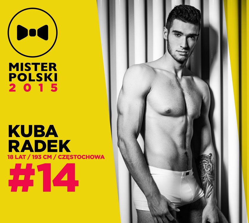 Mister Polski 2015