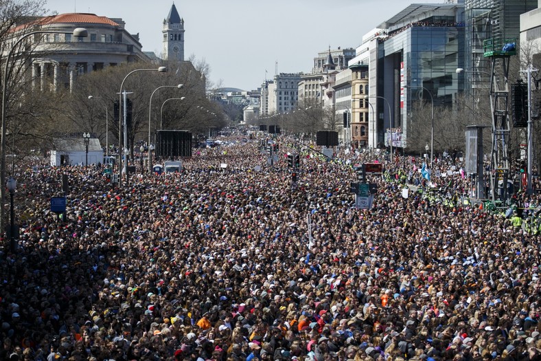 Protesty przeciw dostępowi do broni USA