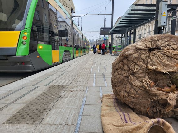 Na Al. Marcinkowskiego dotarł pierwszy transport nowych drzwi fot. PIM