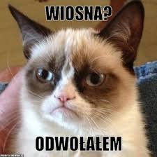 "Gdzie ta wiosna?!" — mimo zimna internautów nie opuszcza poczucie humoru