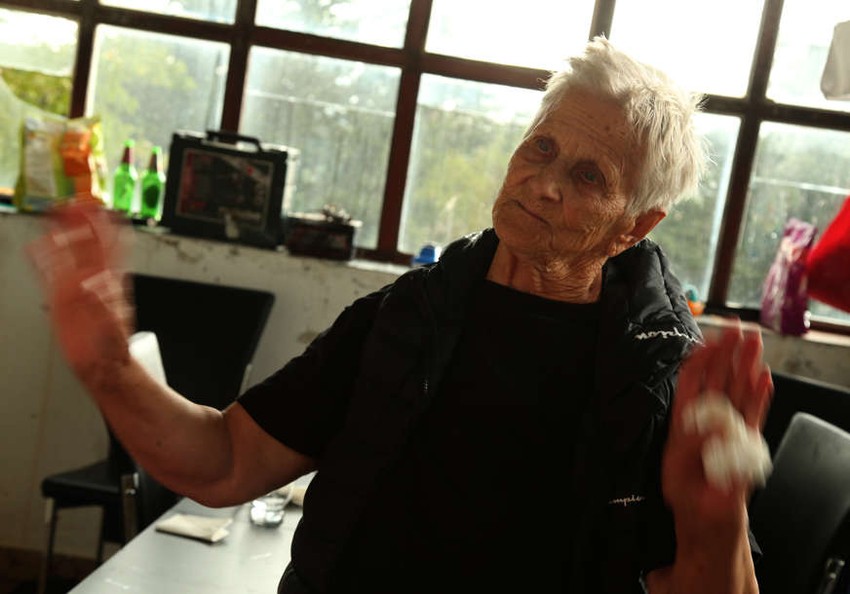 Cetina Porodica Četnik