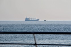 Navi Star, Rojen i Polarnet wypłynęły z Ukrainy. 23 kolejne statki "wypełnione po brzegi"