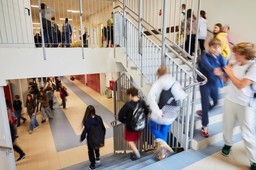 ze szkoły do pracy, czyli profil absolwenta. "budowanie domu, zaczynaj