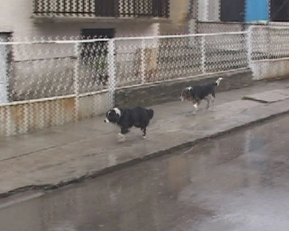 Milionski iznosi se isplaćuju i u manjimn gradovima, poput Pirota