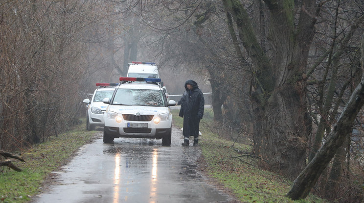 A holttestek megtalálása után a helyszínelés idejére lezárták a teljes környéket a rendőrök / Fotó: Pozsonyi Zita