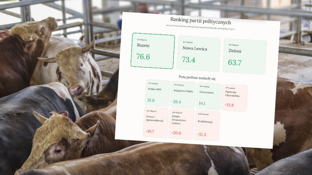 "Zagłosuj dla zwierząt", czyli sprawdź, która partia chroni zwierzęta