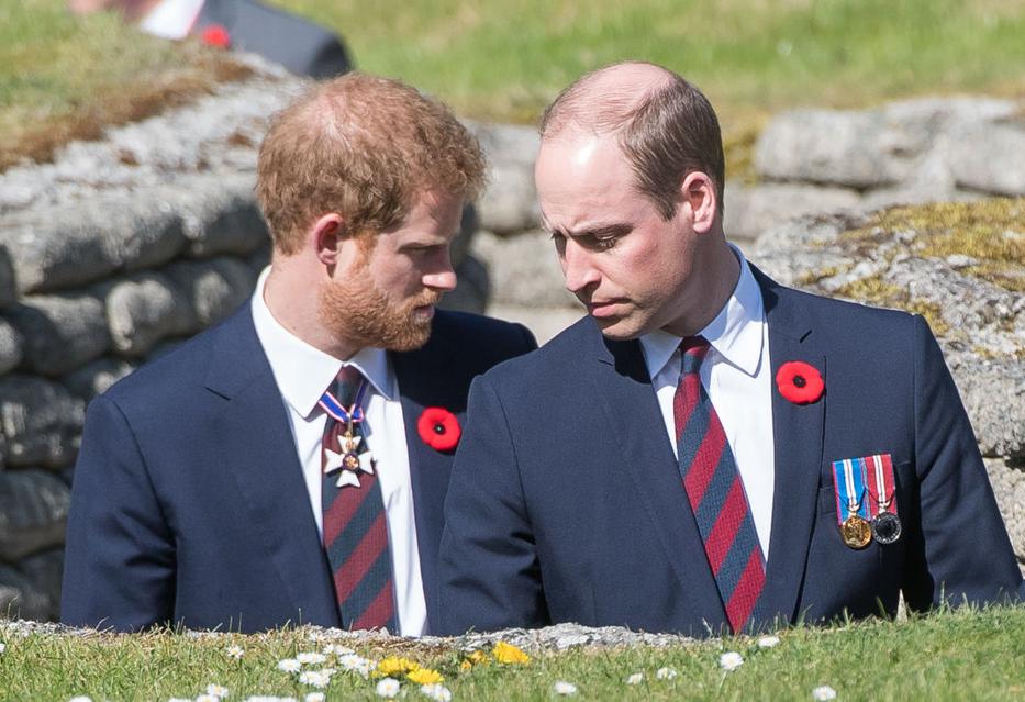 Harry és Vilmos / Fotó: Getty Images