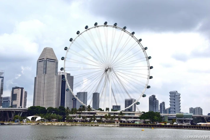 Podziwiaj miasto z Singapore Flyer