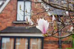 kiedy koniec mrozów 2026? kiedy będzie ciepło? polska podzielona na pół, zima nie odpuszcza długoterminowa prognoza pogody imgw