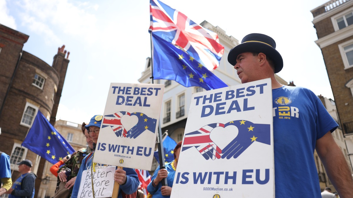 Anti-Bregzit protest u Londonu, maj 2025.
