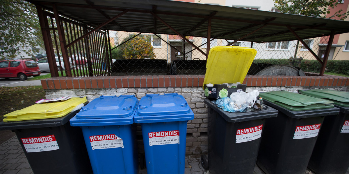 Śmietnik w Poznaniu.