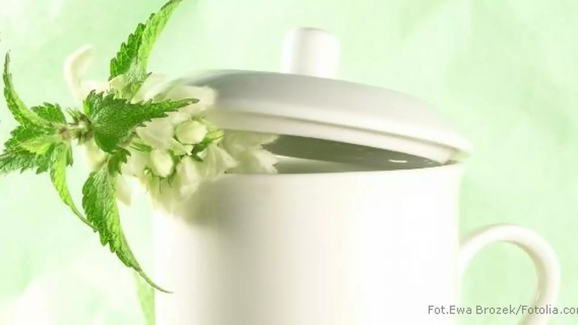 Herbatka z pokrzywy - w kuchni i kosmetyce