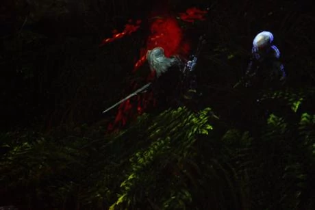 Zdjęcie z pokazu gry "Wiedźmin 2"