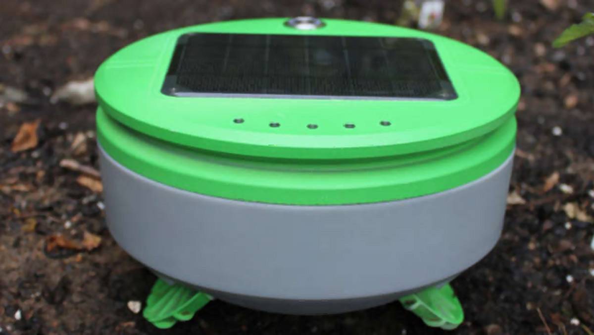 Tertill - robot-ogrodnik od twórców Roomby